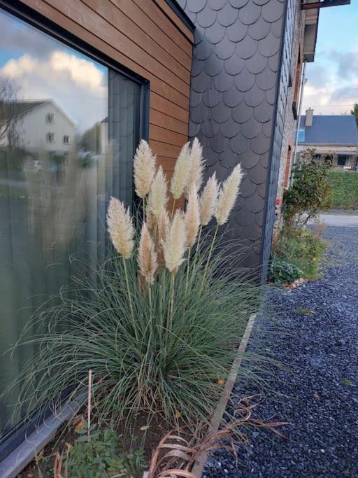 Le Reposoir Maison Spacieuse Avec Feu Au Bois Bertogne Esterno foto